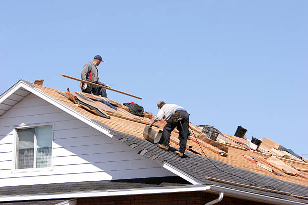 Best Roof Maintenance and Cleaning  in Hampstead, NC